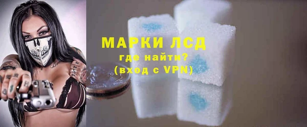 прущий лед Алзамай