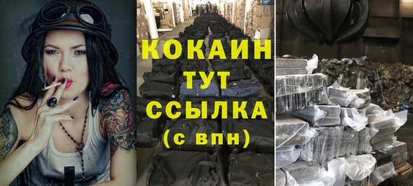 прущий лед Алзамай