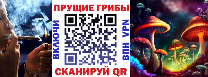 Псилоцибиновые грибы GOLDEN TEACHER  блэк спрут tor  Игра  купить закладку 